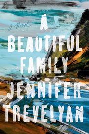 Beautiful Family: A Novel