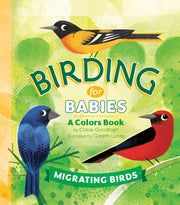 Birding for Babies Migrating Birds