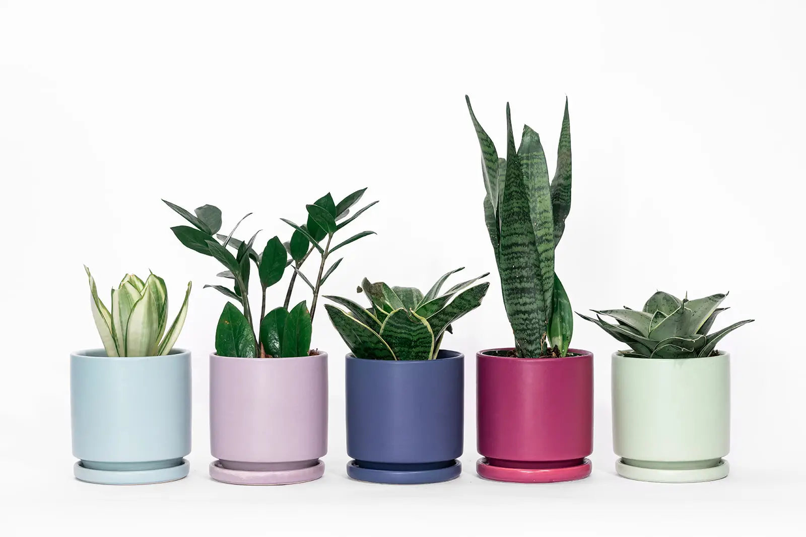 8.25" Fresco Cylinder Pots with Water Saucers