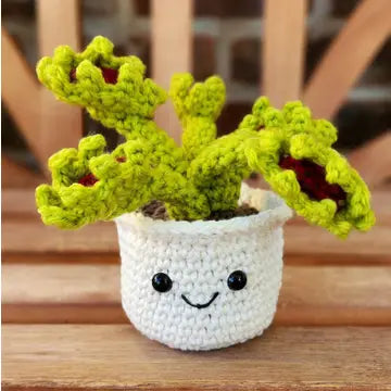 Crochet Plant