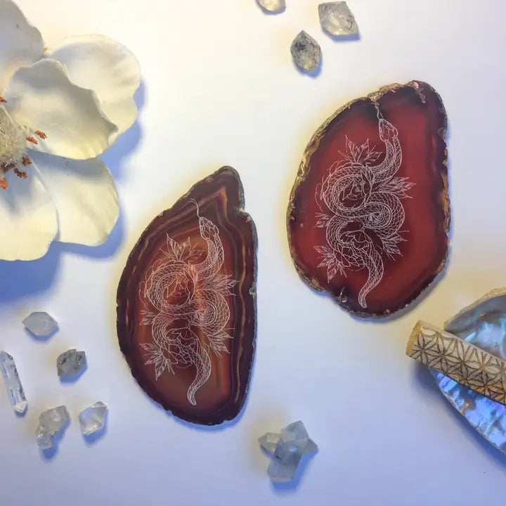 "Cosmic Serpent" Floral Snake Agate Slice