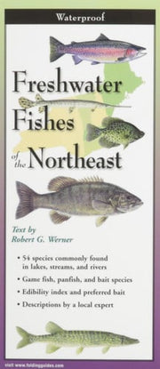 Freshwater Fishes of the Northeast Folding Guide