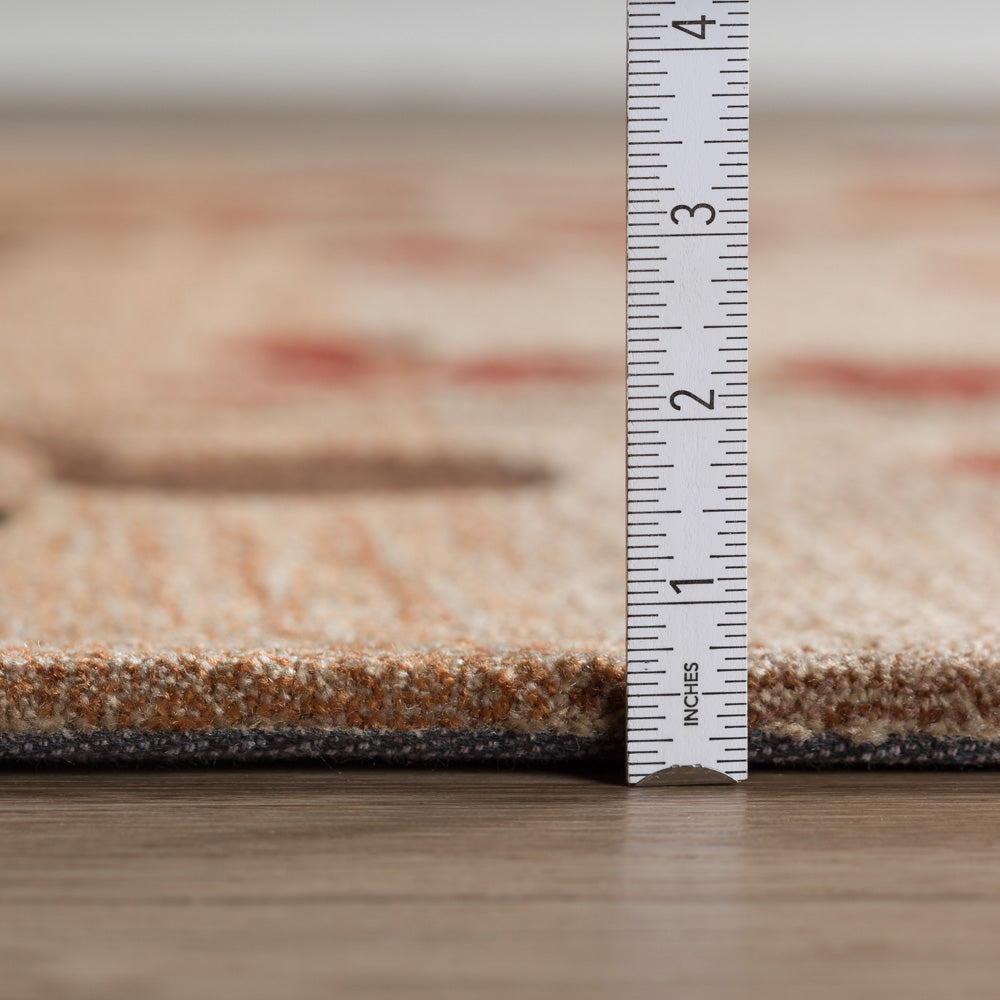 Studio Rug Paprika 5' X 7'9" by Homeportonline