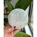Selenite Crystals