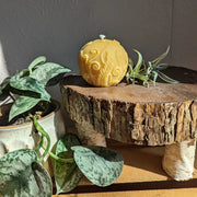 Fern Sphere Beeswax Candle