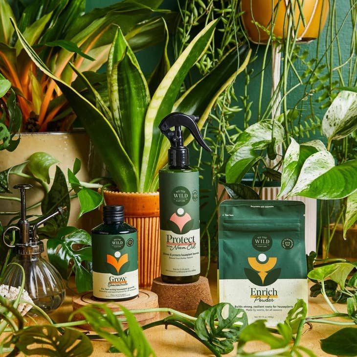 Sale!Holiday Plant Care Taster Kit