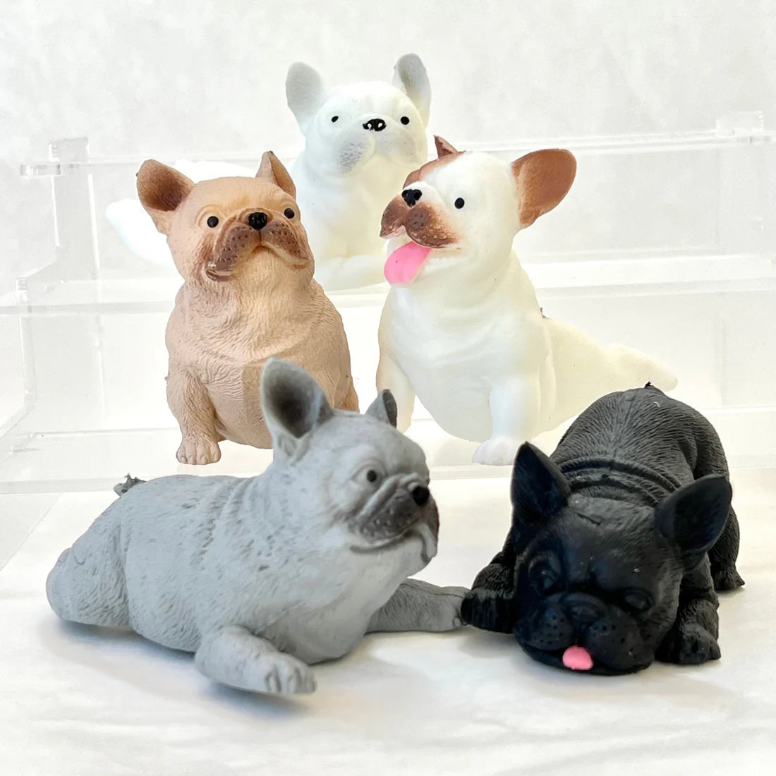 Gashapon Capsule For All Ages French Bulldog (Sold As An Individual Capsule) by Homeportonline