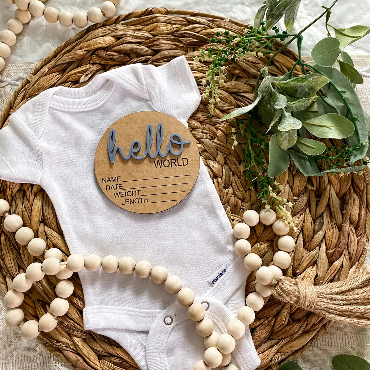 Hello World Birth Announcement Disc