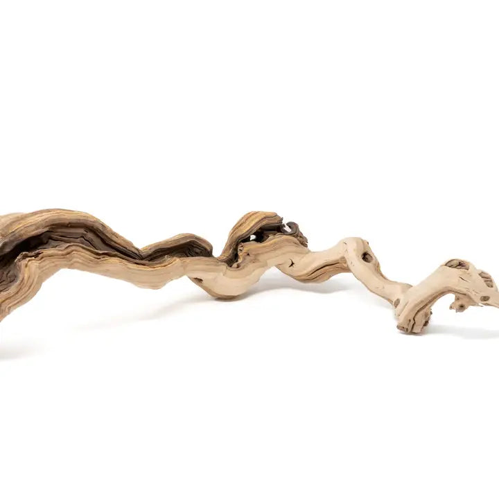 Sandblasted Grapewood Branch for Displays