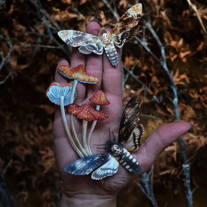 Fine Paper Specimens