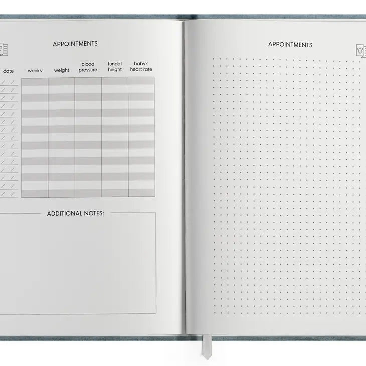 The Pregnancy Journal