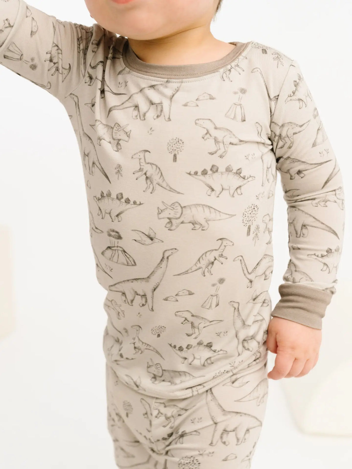 Dino Doodles Toddler Bamboo L/S Set