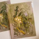 Forest Floor-Art Print