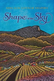 Shape of the Sky