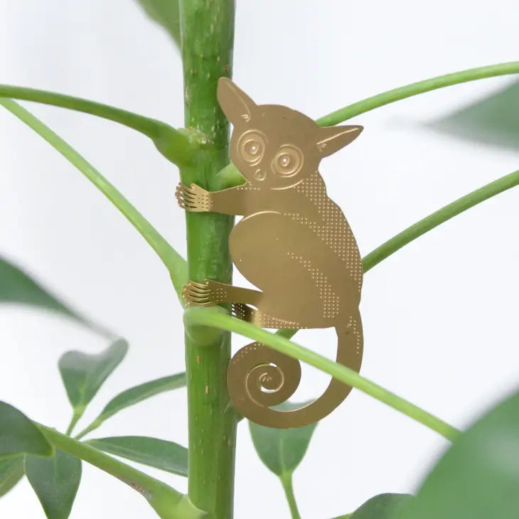 Plant Animal