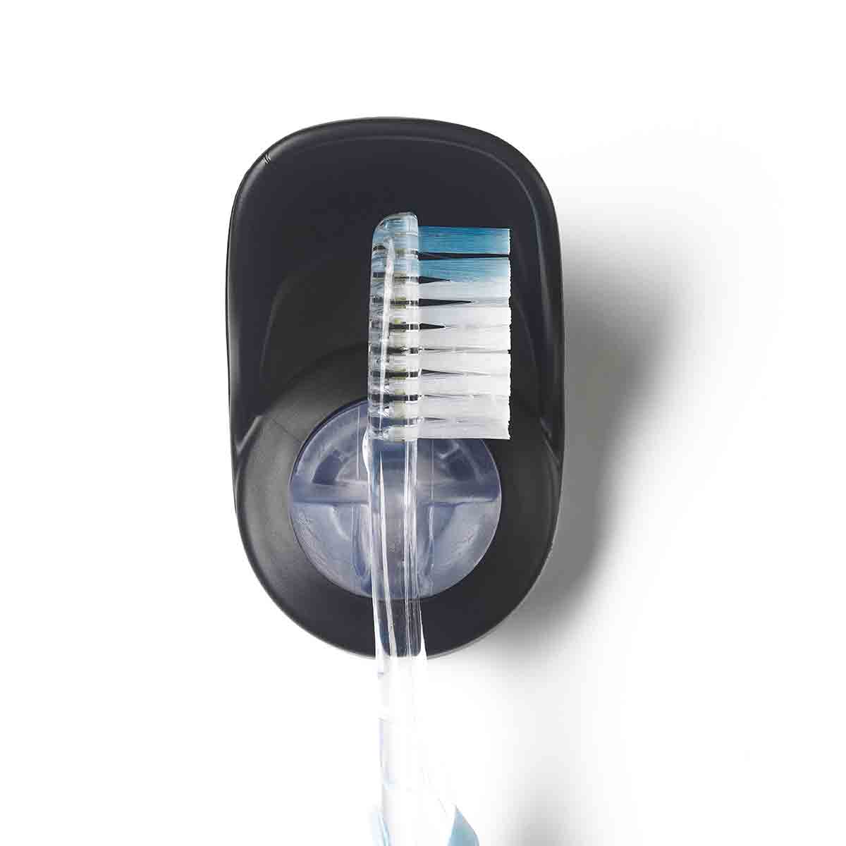 Toothbrush Holder - Black by Homeportonline
