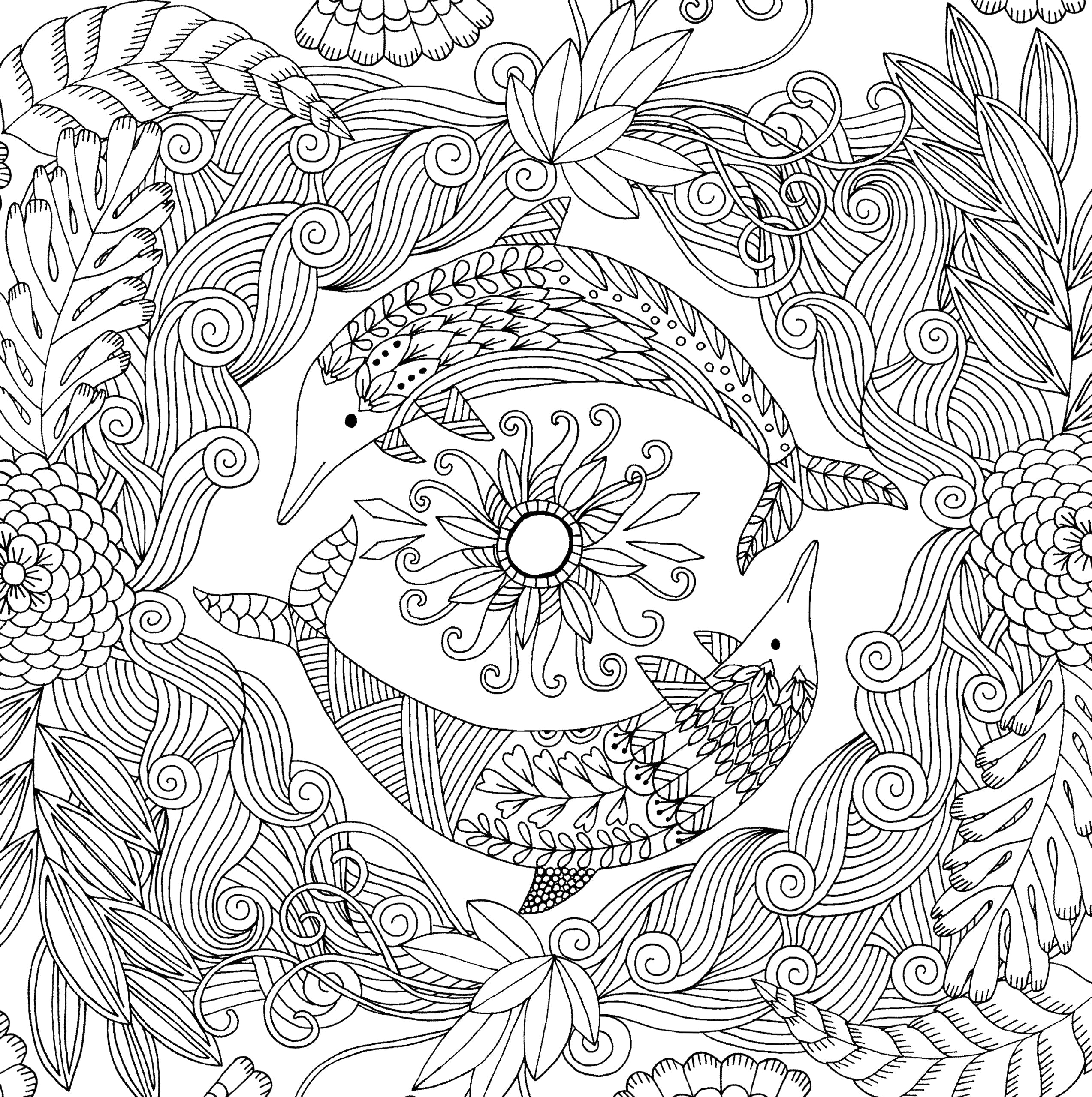 Artist's Adult Coloring Book Follow Your Dreams by Homeportonline