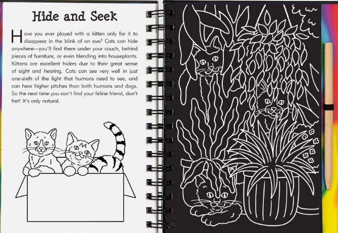 Scratch And Sketch Trace Along Activity Book Kittens by Homeportonline