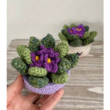 Crochet Plant