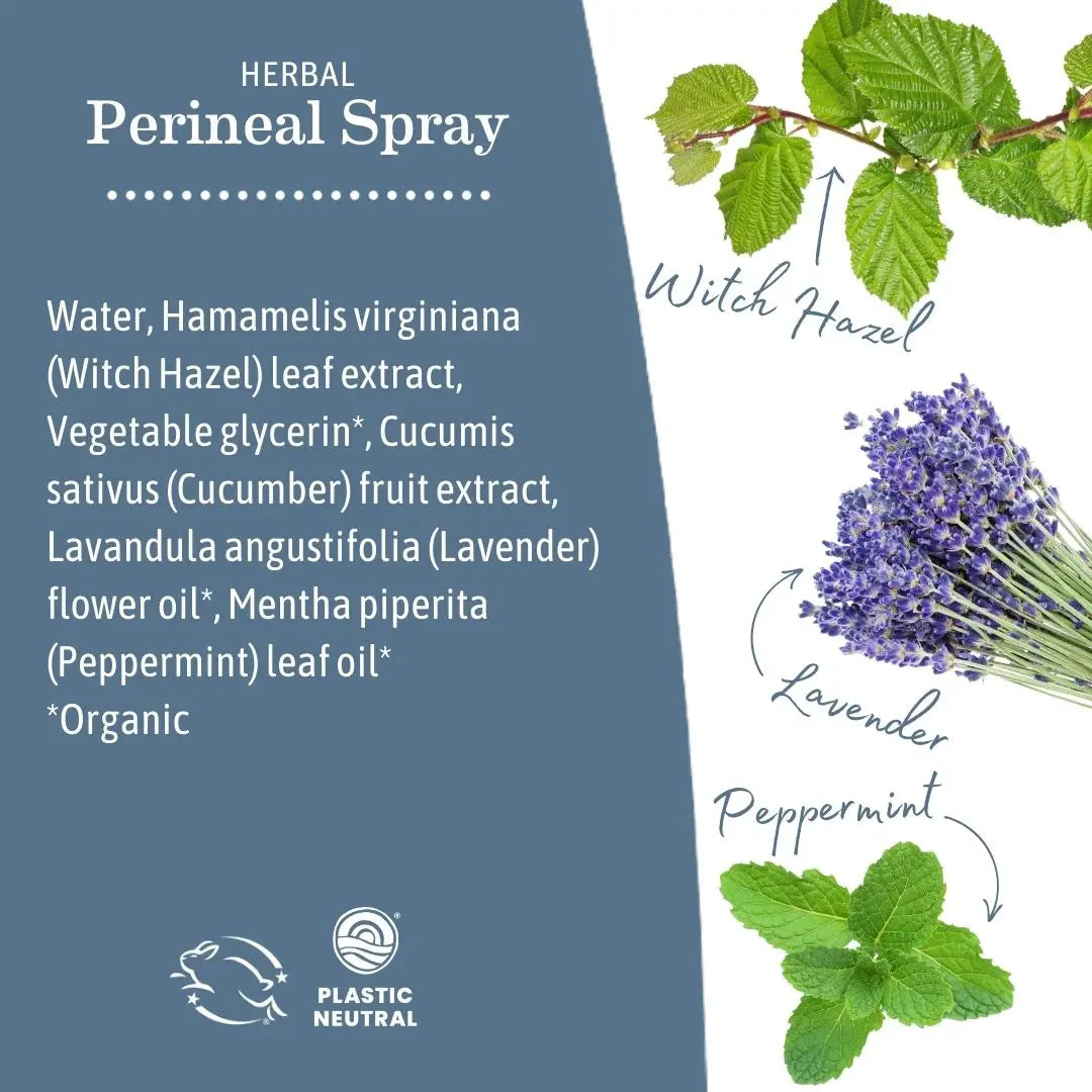 Earth Mama Herbal Perineal Spray | Soothing Touch-Free Mist