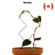 "Tetris" Metal Trellis - Trailing Plant Support