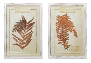Wall Décor Wood Framed Glass, Fern Image, 2 Styles (Sold Individually) by Homeportonline