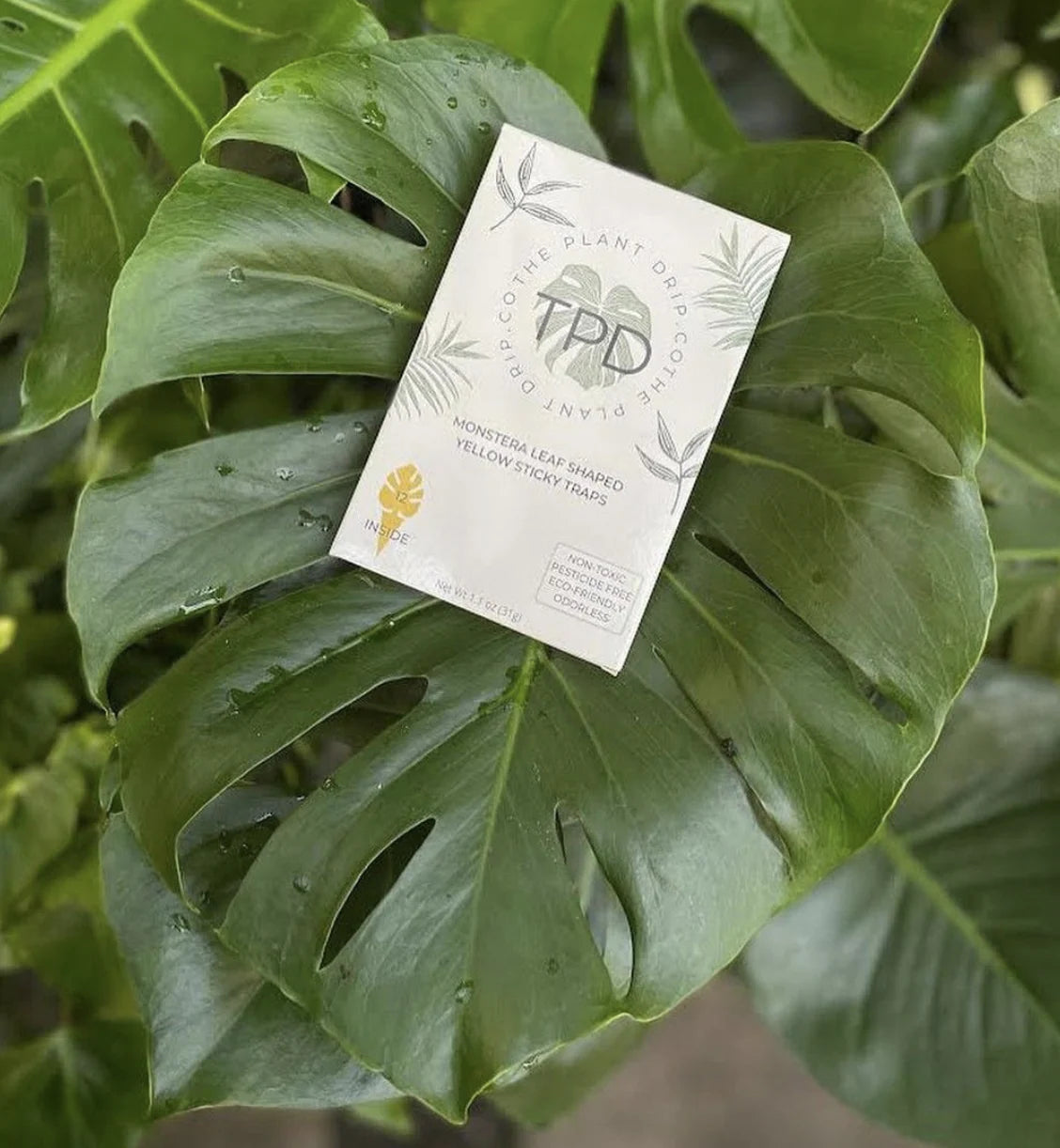 Monstera-Shaped Sticky Traps by Wild Lark