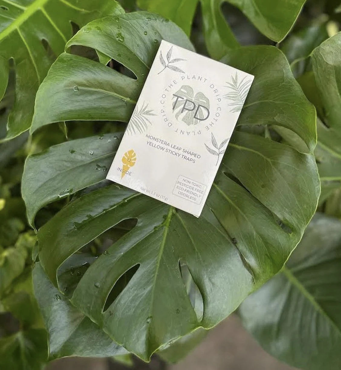 Monstera-Shaped Sticky Traps