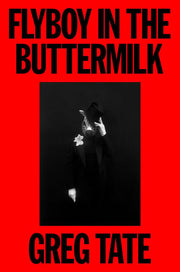 Flyboy in the Buttermilk Essays on Contemporary America