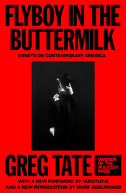Flyboy in the Buttermilk Essays on Contemporary America