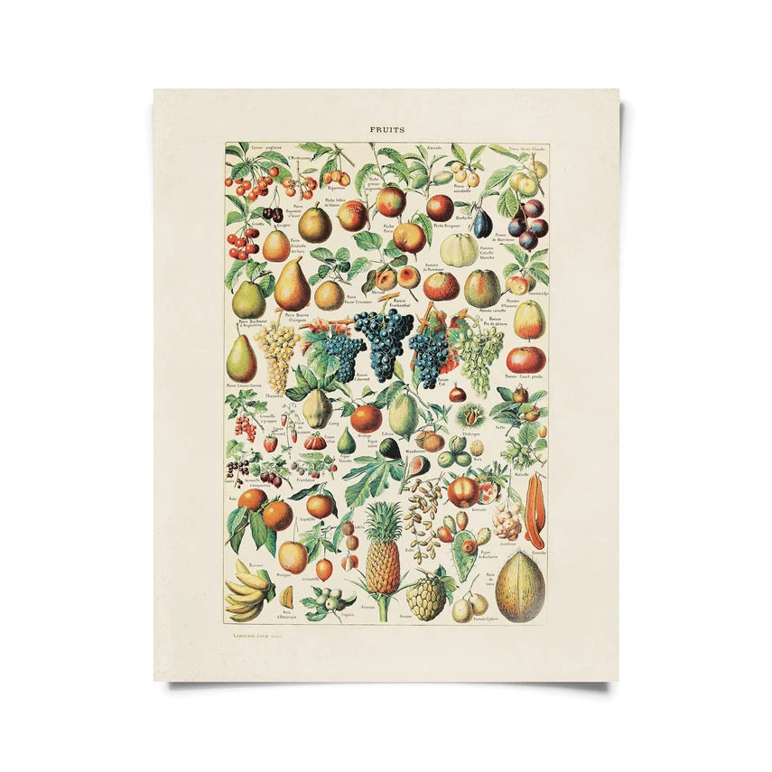 Vintage Botanical French Fruits Print