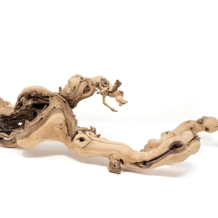 Sandblasted Grapewood Branch for Displays