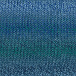 Plymouth Encore Colorspun by Must Love Yarn