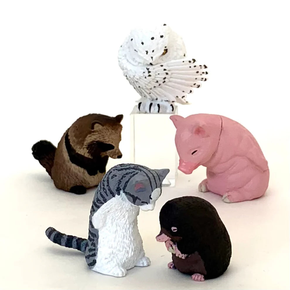 Gashapon Capsule Teen & Up Bowing Animals (Sold As An Individual Capsule) by Homeportonline