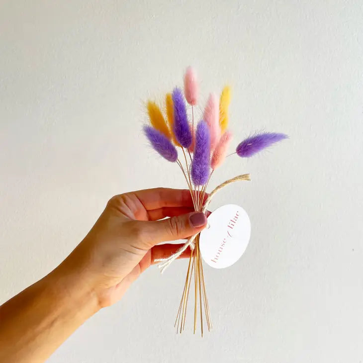 Dried Flower Bunny Tail Bundle