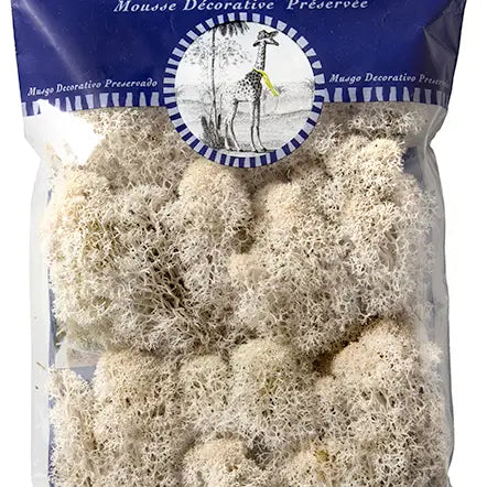 Sale!Reindeer Moss Preserved 2oz Bags