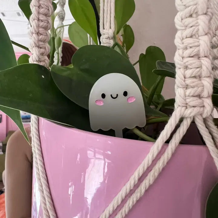 Ghost Plant Pal