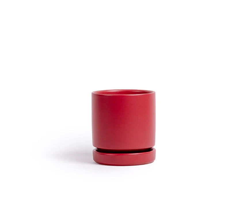 4.5" Gemstone Pot - with Water Saucer
