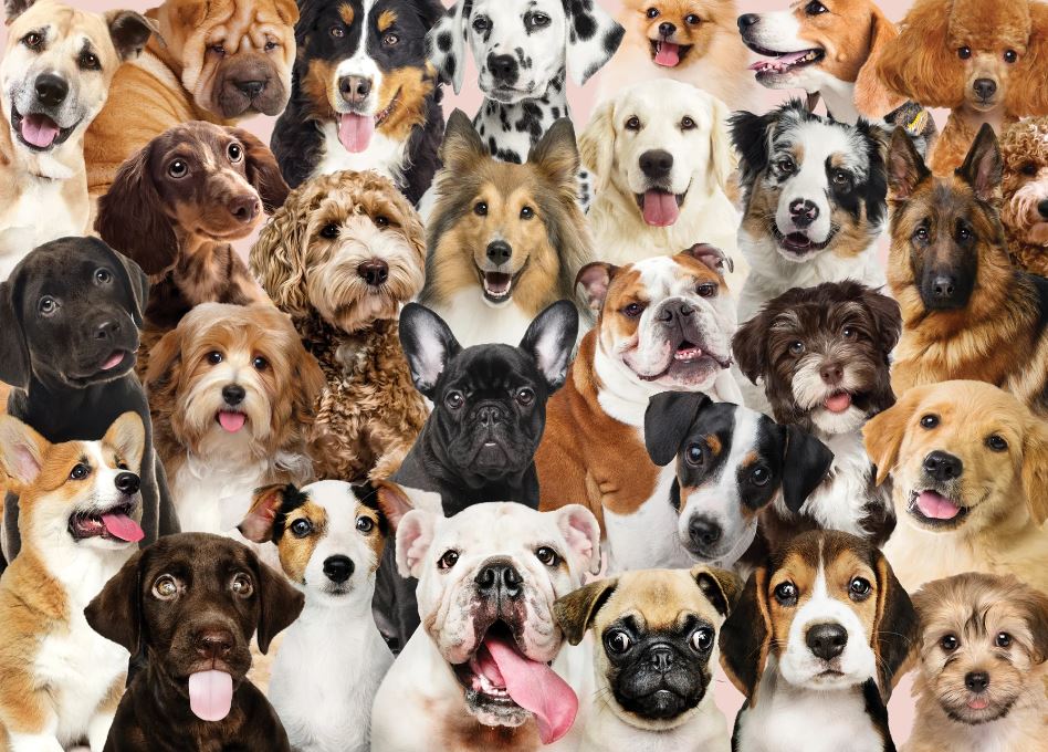 Puzzle 500 Piece All the Dogs by Homeportonline