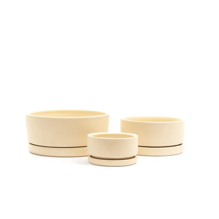 8.25" Gemstone Low-Bowls with Water Saucers