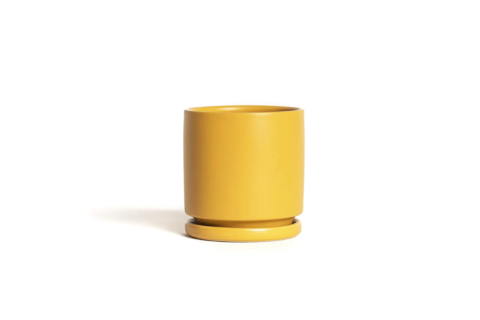 6.5" Gemstone Pot - with Water Saucer