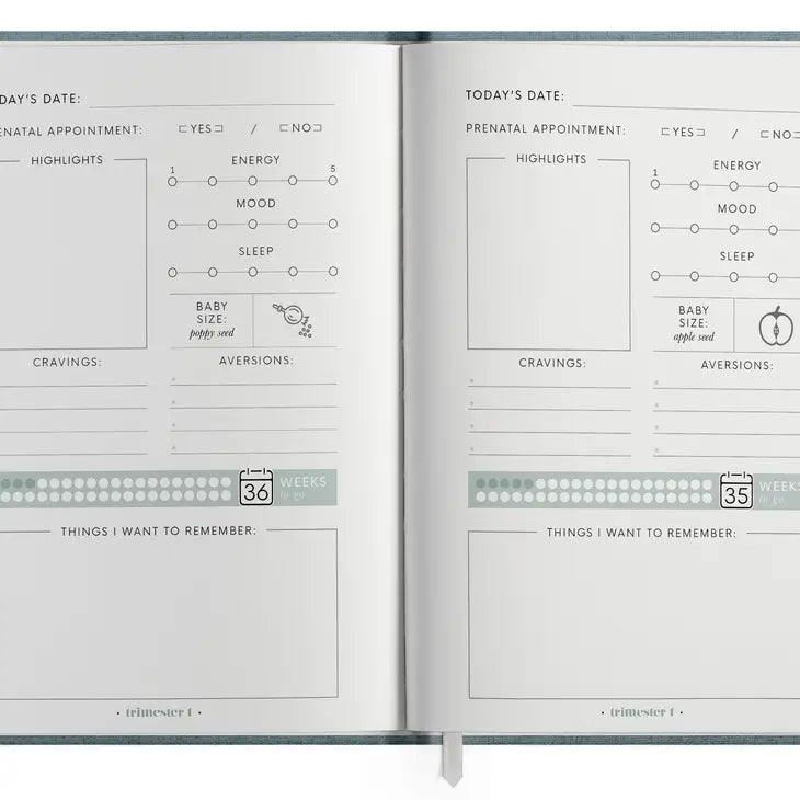 The Pregnancy Journal