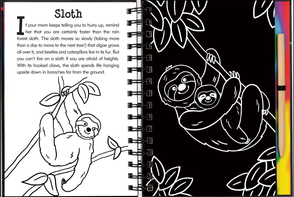 Scratch And Sketch Trace Along Activity Book Rainforest by Homeportonline