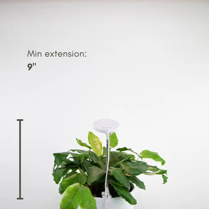 White Adjustable LED Plant Light