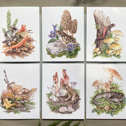 Notecard Set - Amphibians & Fungi On Blank Recycled Cards