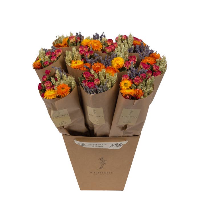 Dried Flowers - Market More - Orange by Wild Lark