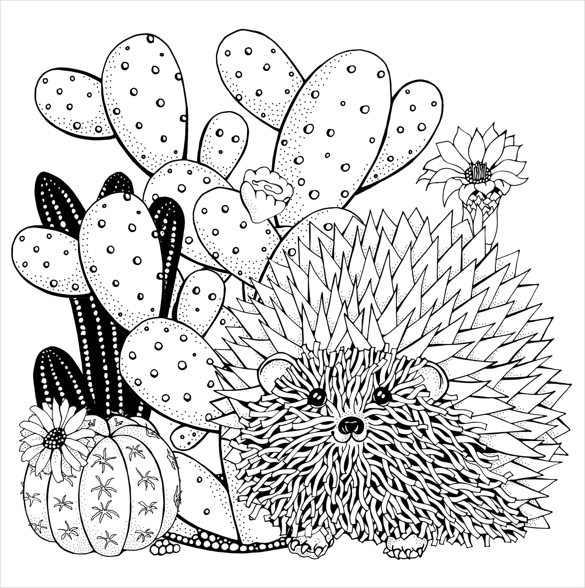 Artist's Adult Coloring Book Succulents by Homeportonline