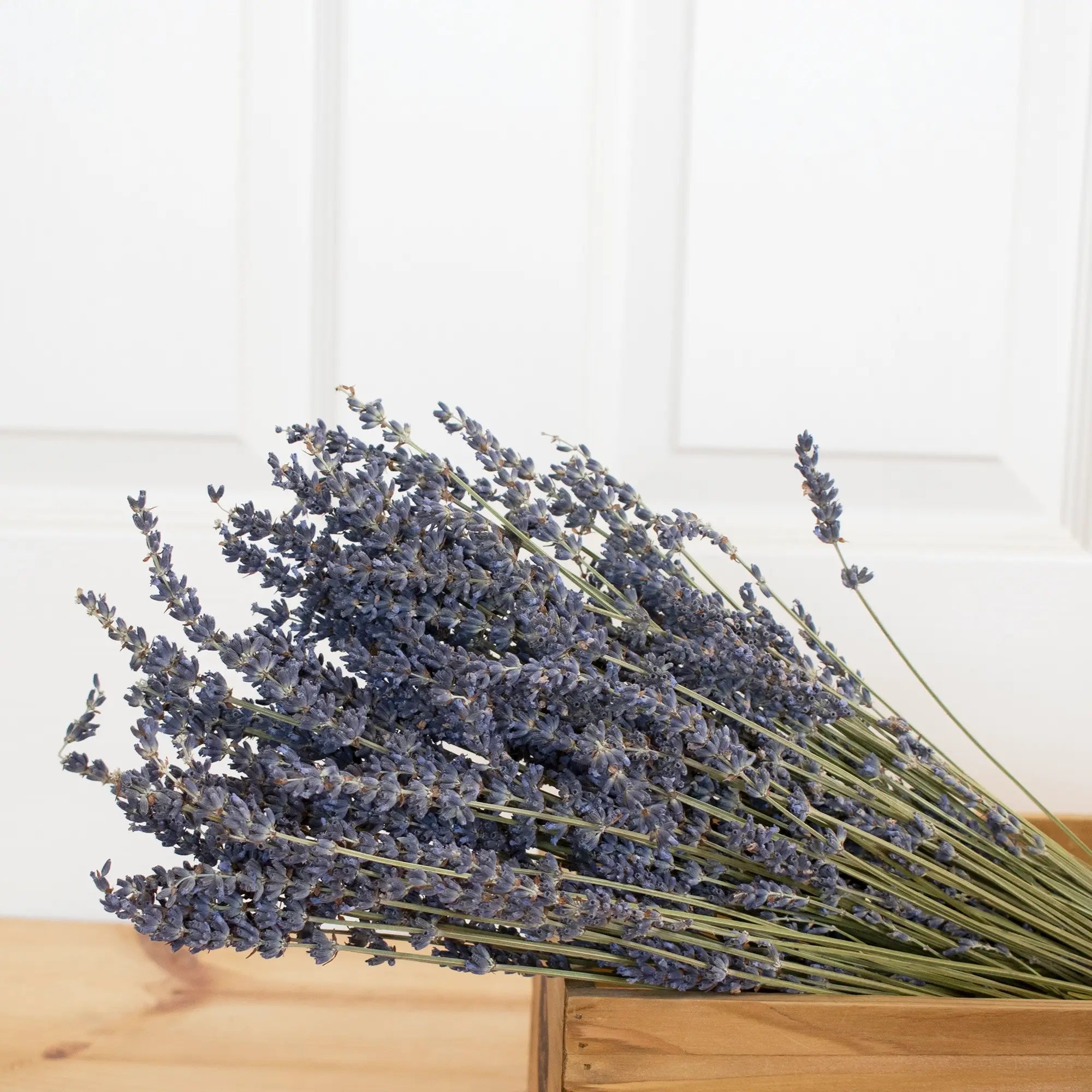 French Lavender Bunch