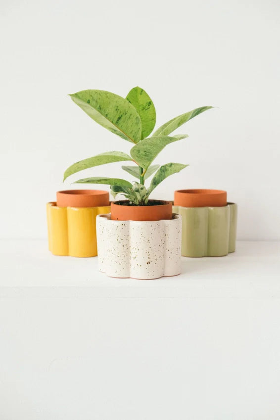 Self-Watering Pot Paula