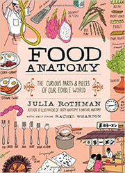 Food Anatomy by Kiss the Cook